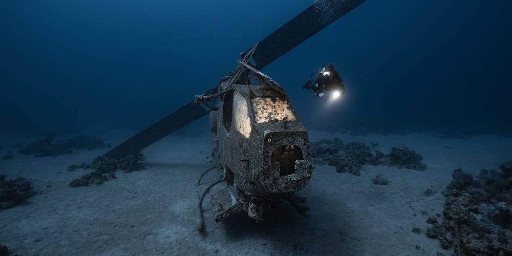 Featured image for "Captivating Underwater Images: Shipwrecks, Marine Life, and Whale Graveyard"