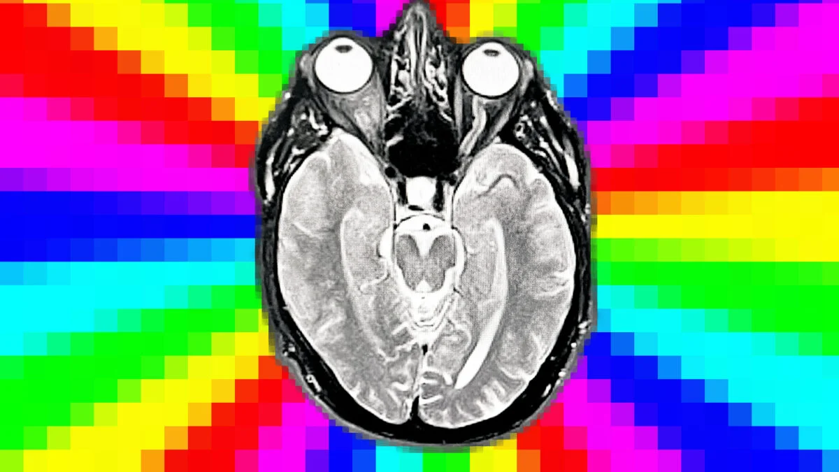 Featured image for AI Models Suffer 'Brain Rot' from Low-Quality Data, Study Finds