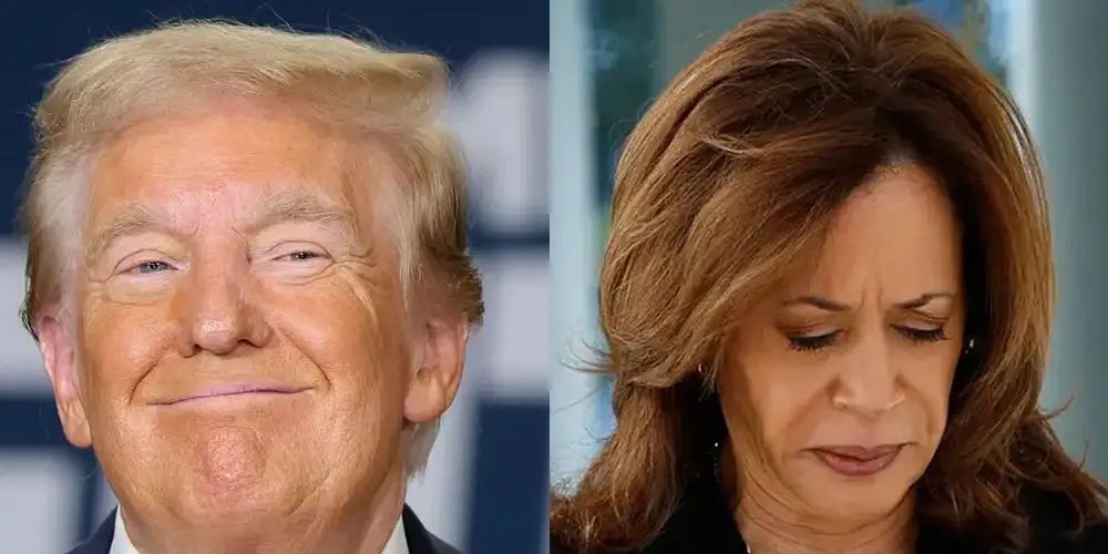 Featured image for Trump Secures Key States, Boosting Election Prospects