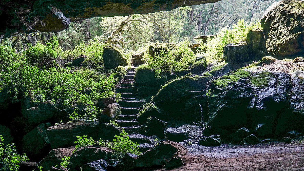 "Exploring Kitum Cave: Uncovering the Origins of Deadly Viruses"