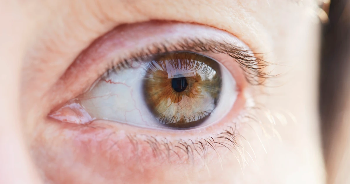 Featured image for Brain Training Game Enhances Memory and Attention Chemicals