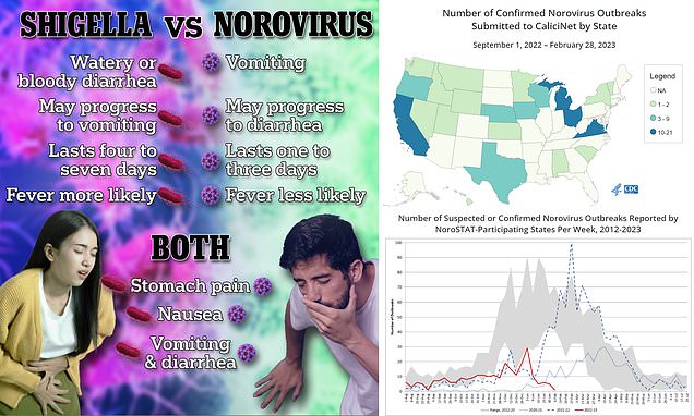 Featured image for Distinguishing Between Norovirus and Shigella Stomach Flus Outbreaks