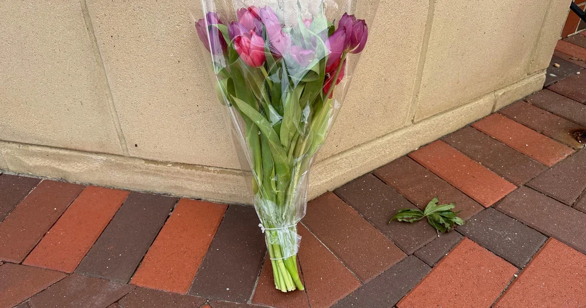 Featured image for CDC Shooting Linked to Vaccine Mistrust and Misinformation