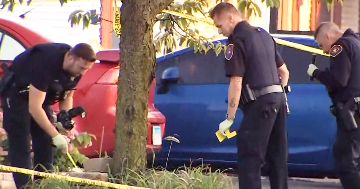 Tragic Shooting Leaves Family of Four and Three Dogs Dead in Illinois Home