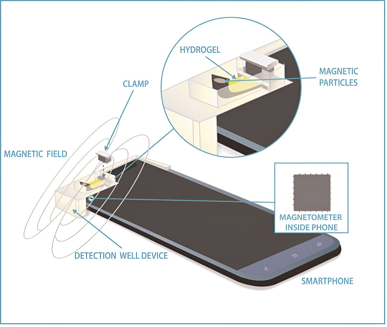 Featured image for "High-Sensitivity Measurement of Health-Related Compounds Using Cellphone Compass"