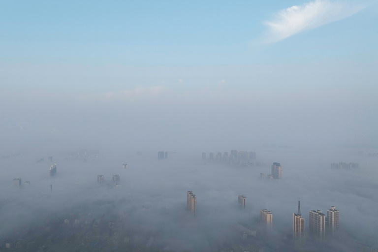 Featured image for "Economists' Forecast Failures Undermine Credibility Amid Economic Uncertainty"