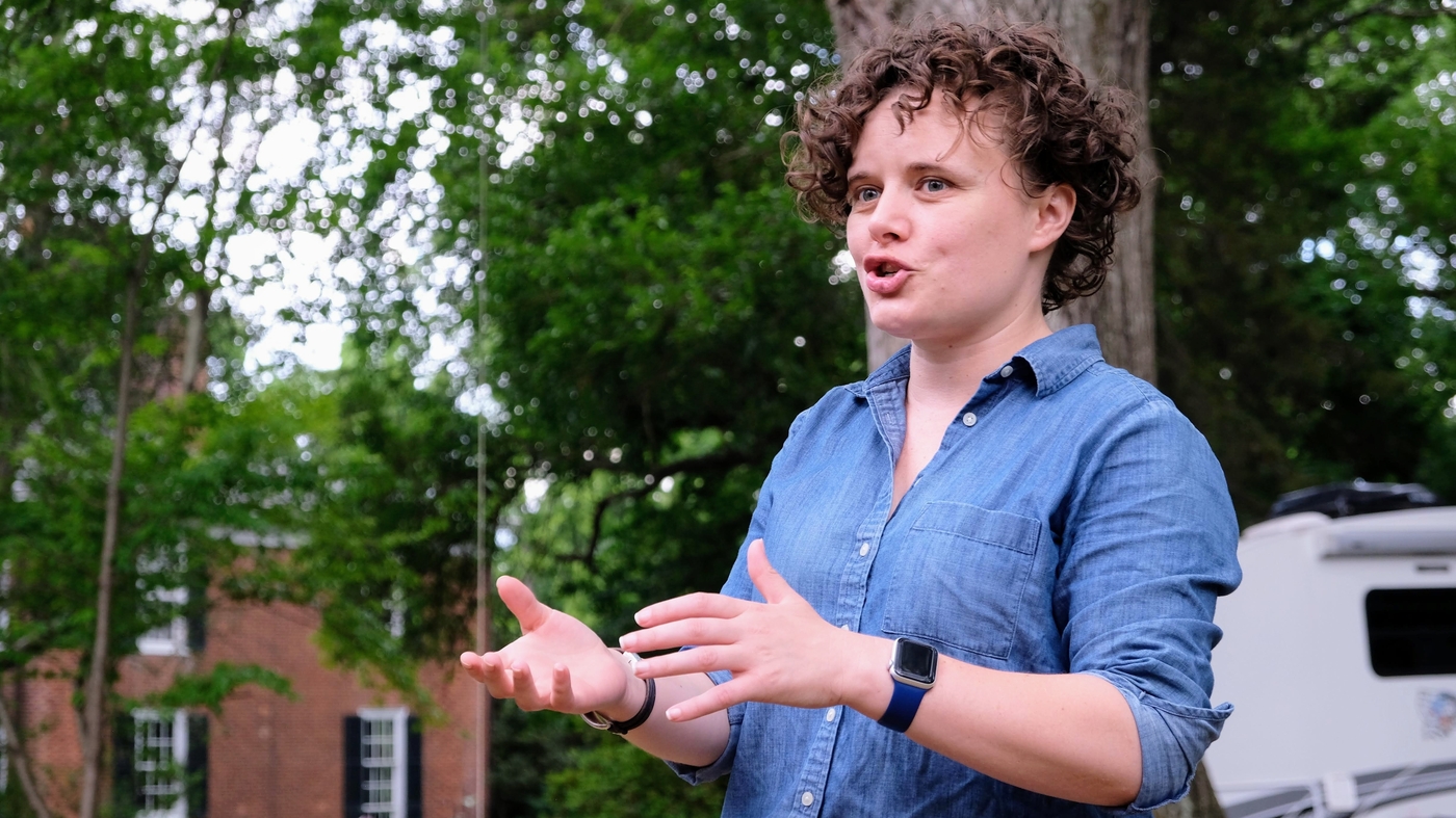 Virginia Democrats face primary shakeup in key races.
