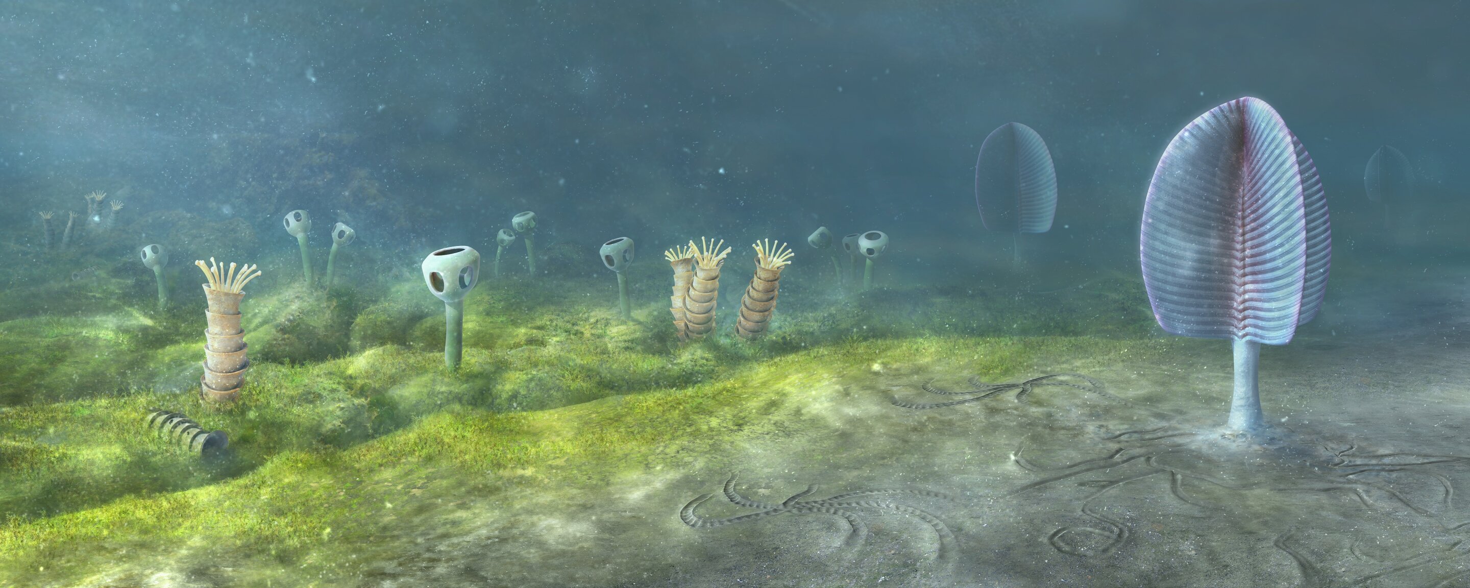 "Unveiling the Fascinating Evolutionary Journey of Animals: A Groundbreaking Study"