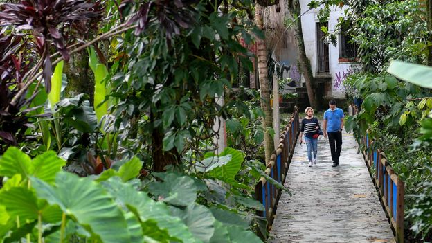 Featured image for Medellin's Green Corridors: Cooling the City's Heat