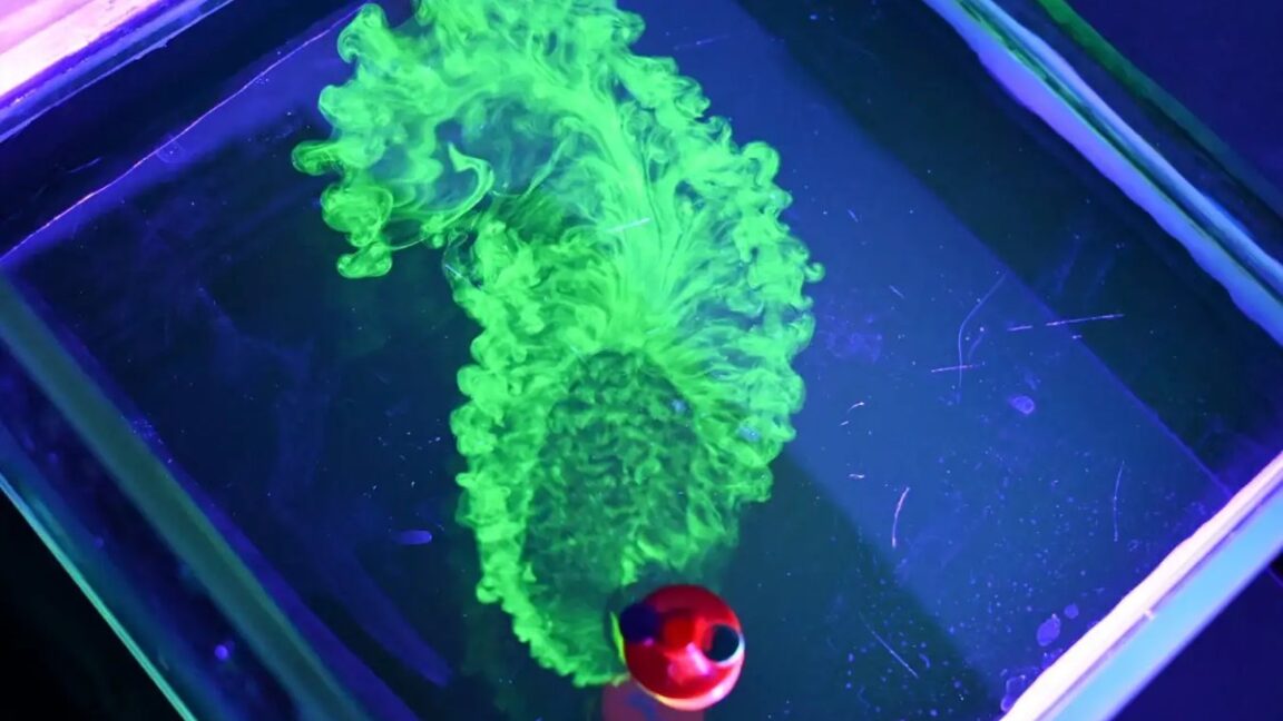 Featured image for Innovative Robot Design Inspired by Cheerios Effect