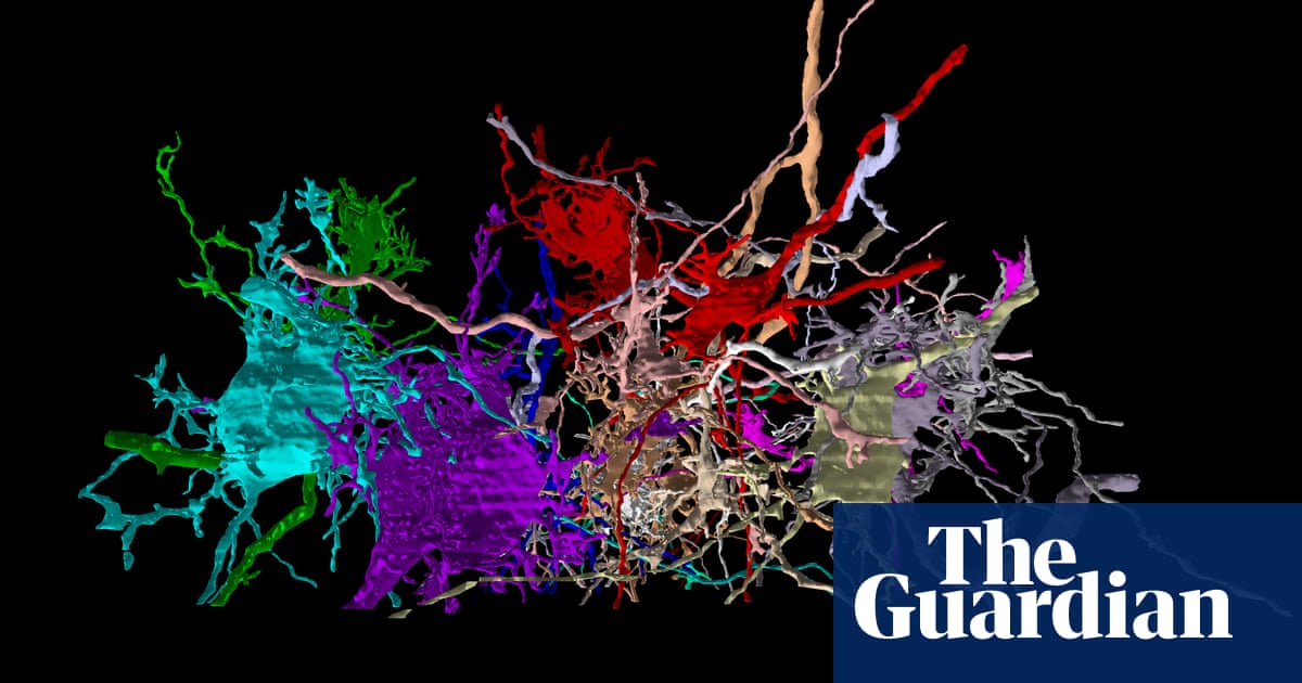 "USF Uses VR to Map Brain and Tackle Developmental Disorders"