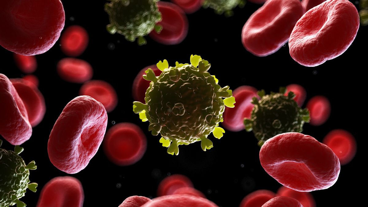 Featured image for Advances in HIV Remission Offer Hope for Long-Term Treatment