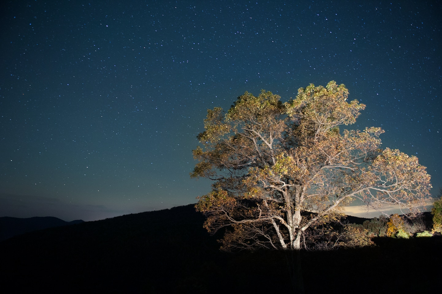 Stargazing Tips for Kids and Parents.