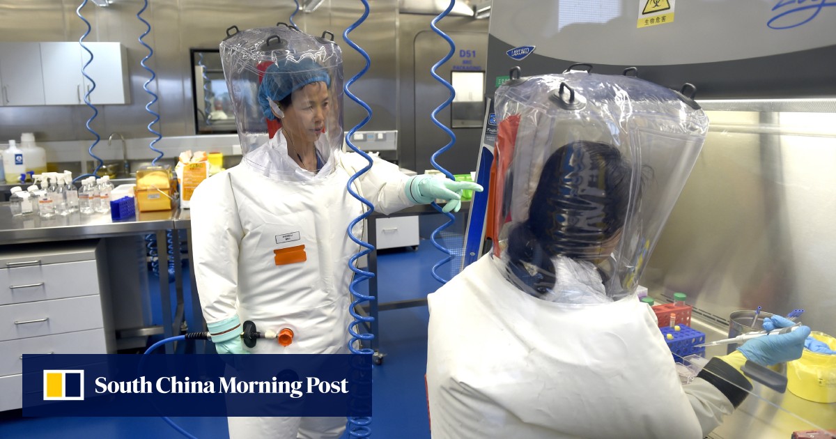 "China's 'Batwoman' Issues Stark Warning: Another Coronavirus Outbreak Imminent"