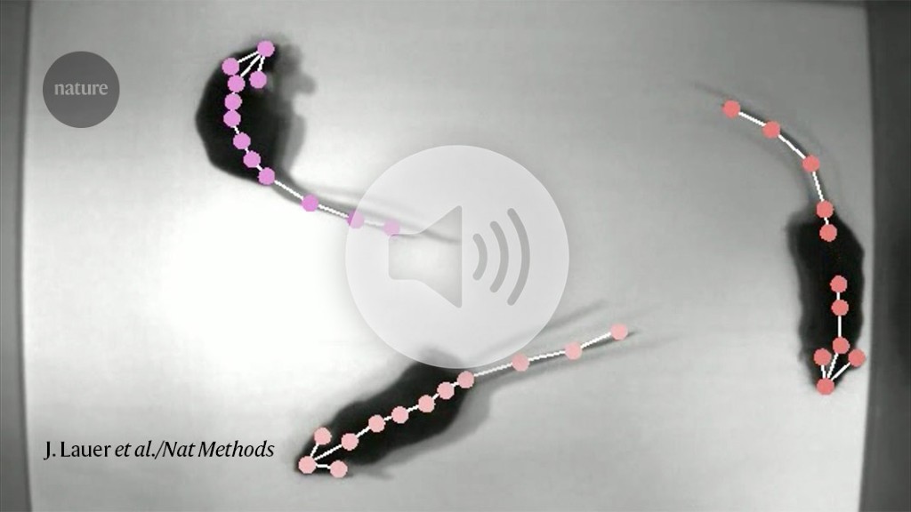 Featured image for Decoding the Brain: Lab Mice Embrace Natural Experiments