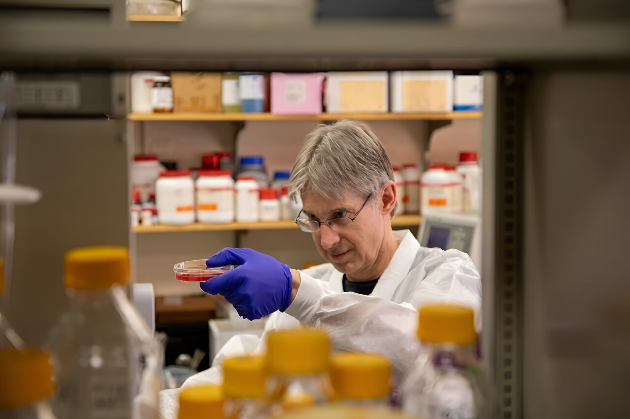 "Breakthrough: Blocking Nutrient Inhibits Malaria Parasite Growth"