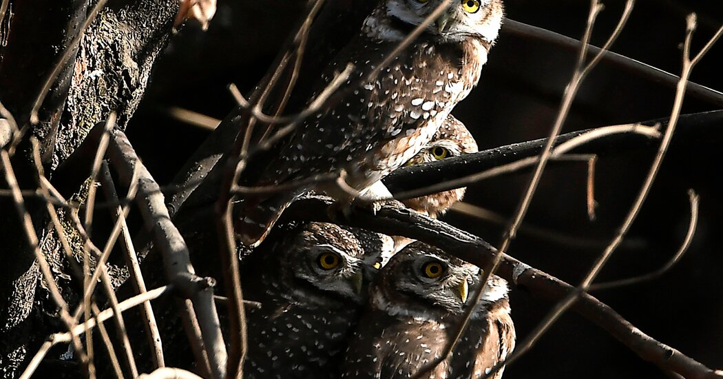 Featured image for "Countdown: The Race Against Time"