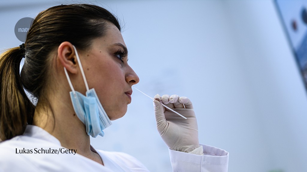 Featured image for "COVID Rapid Tests Ineffective for Asymptomatic Cases, Study Finds"