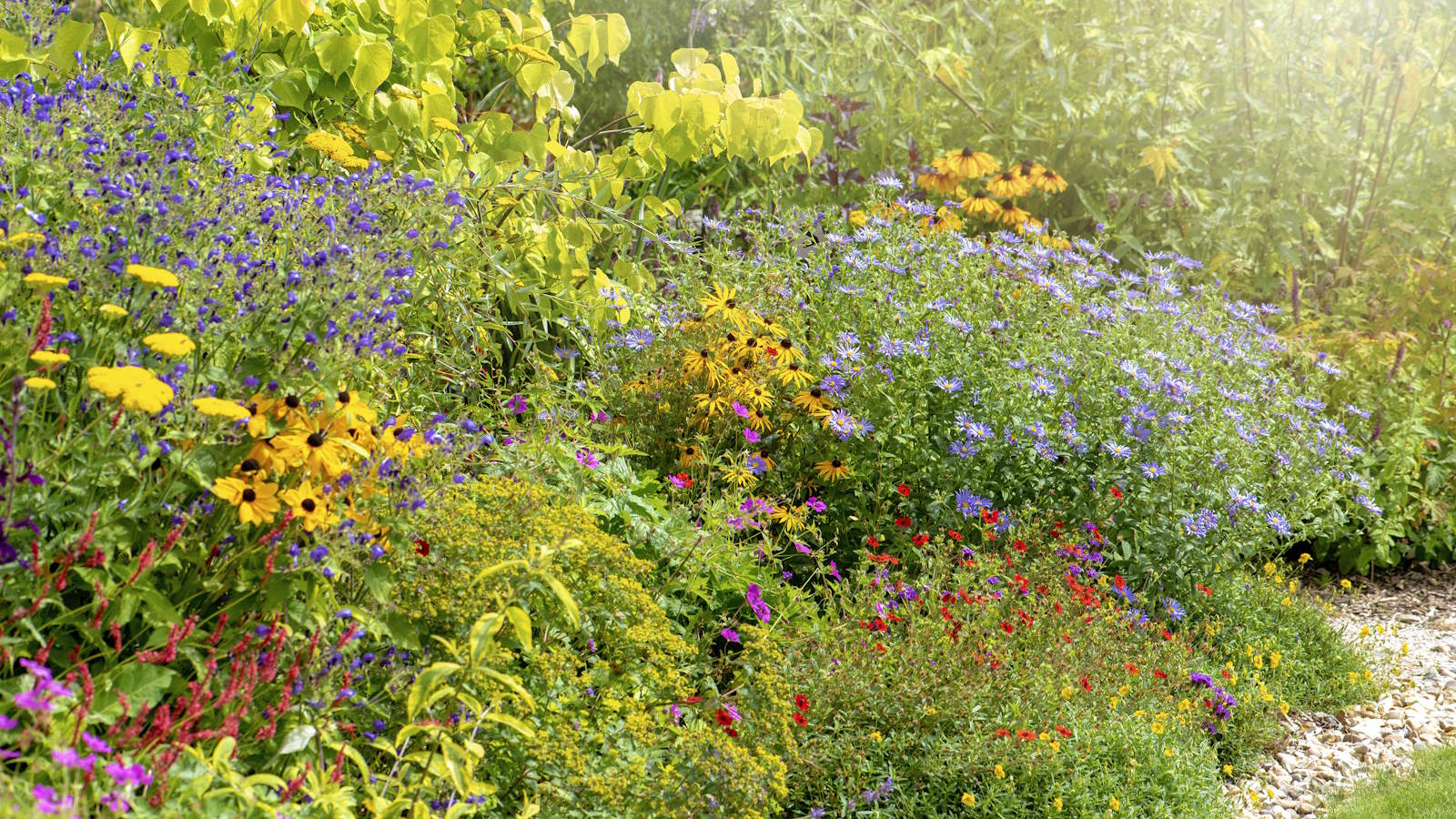 Featured image for Top 5 Plants That Repel Moles and Protect Your Garden