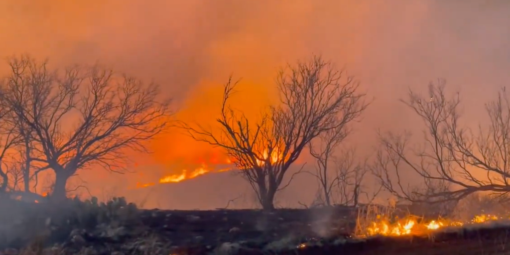 "Texas Panhandle Battling Multiple Wildfires, 65,000 Acres Consumed"