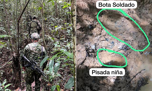 "Renewed Hope in Search for Missing Children in Colombian Jungle"