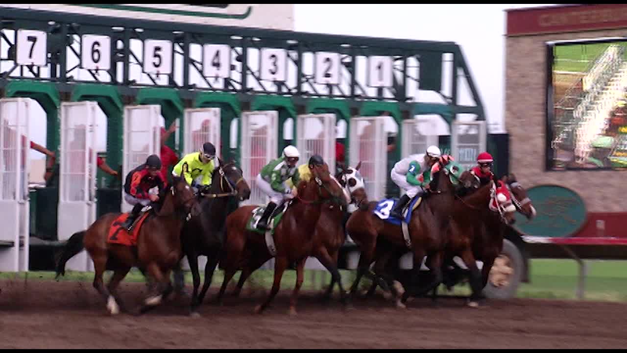 "Minnesota's Historical Horse Racing Stalls at the Starting Gate"