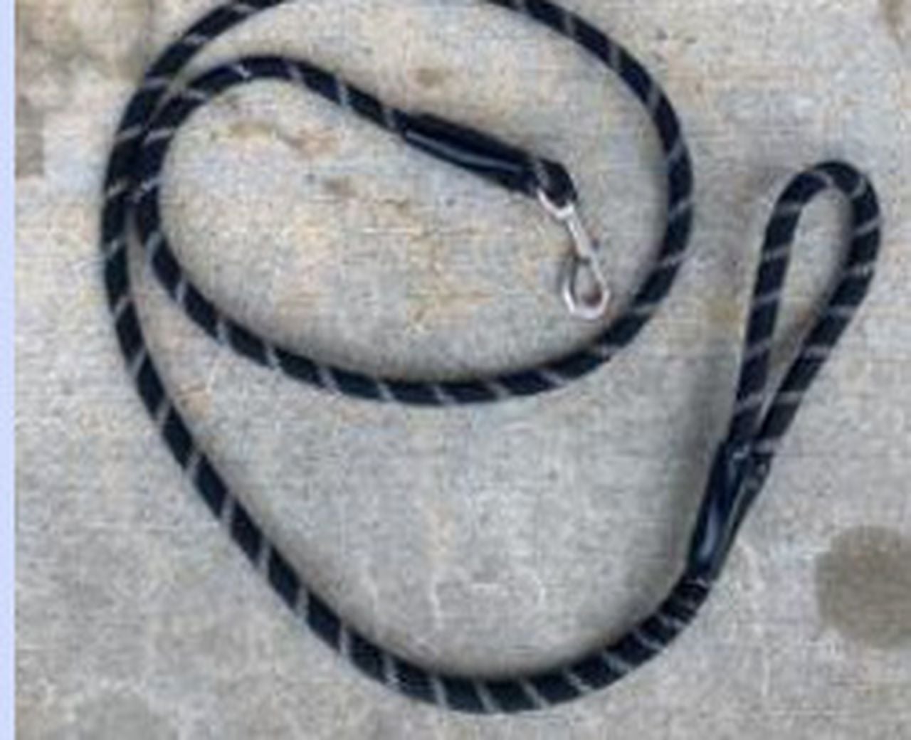 Featured image for "Unraveling the Mystery: Michigan's Top Veterinarian Sheds Light on Spreading Dog Illness"