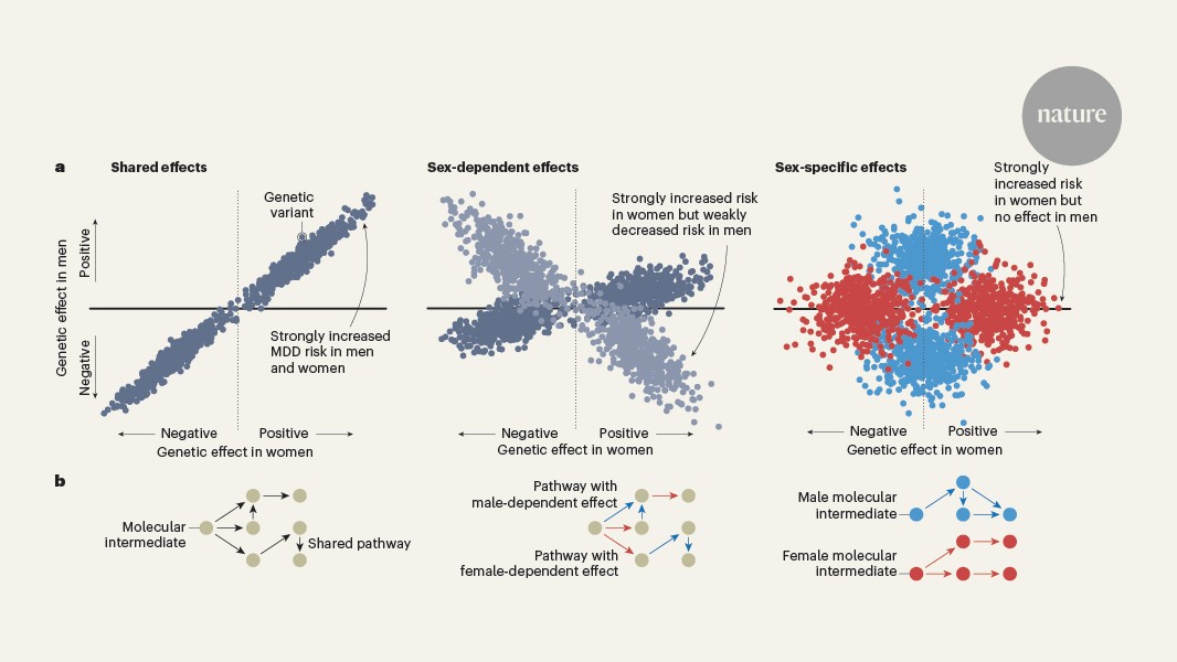 Featured image for Genetic and Biological Factors Underlying Sex Differences in Depression
