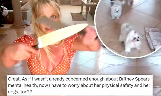 Featured image for "Britney Spears' Knife Dance Raises Concern for Her Dogs, But She Defends Her Artistic Expression"