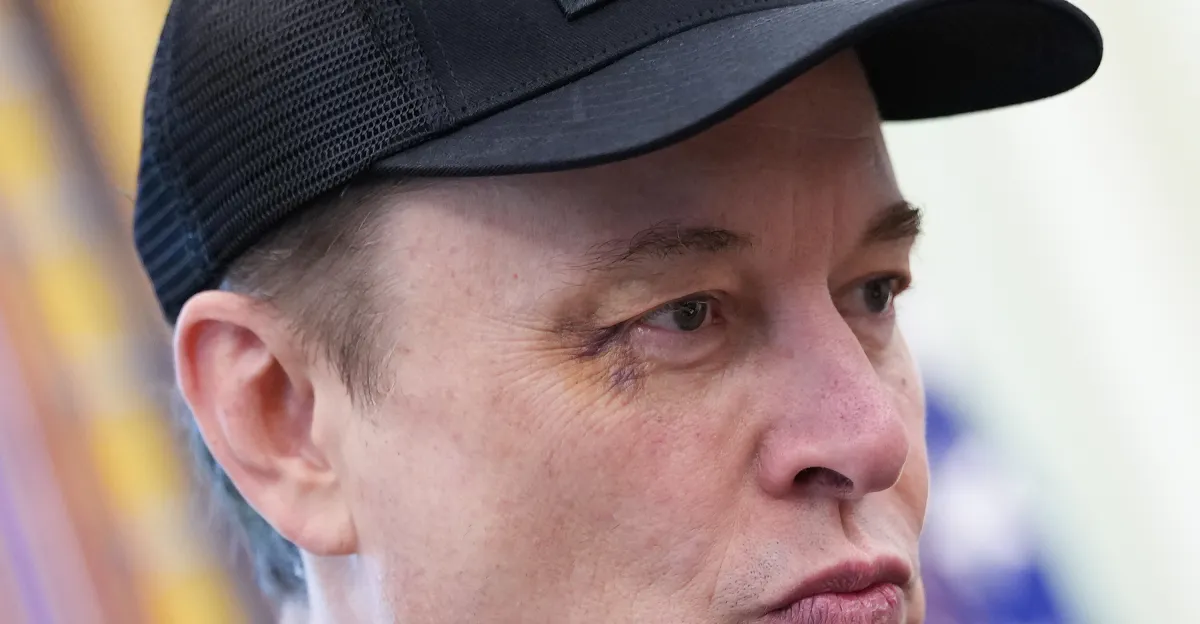Elon Musk Leaves D.C. with Black Eye After Son's Punch