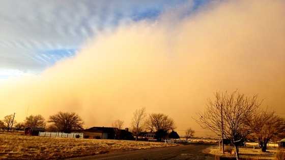 Featured image for New Mexicans Highly Vulnerable to Valley Fever