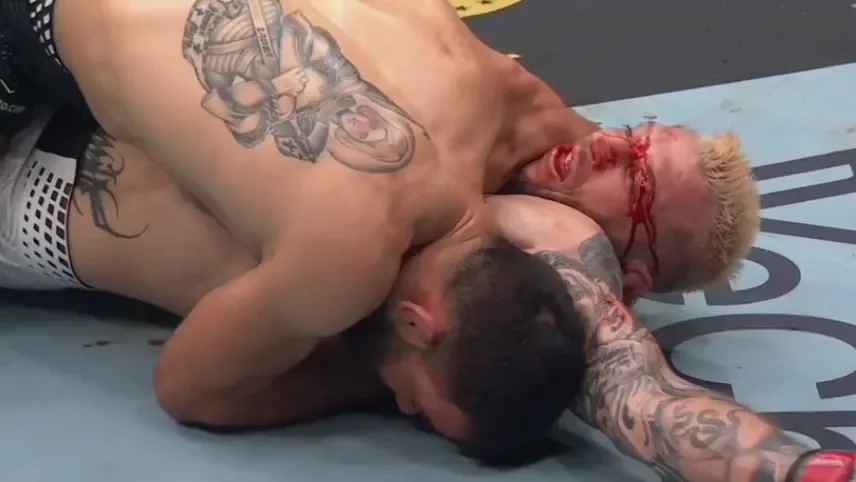 Saint Denis Stuns Hooker, Elevates Lightweight Prospects