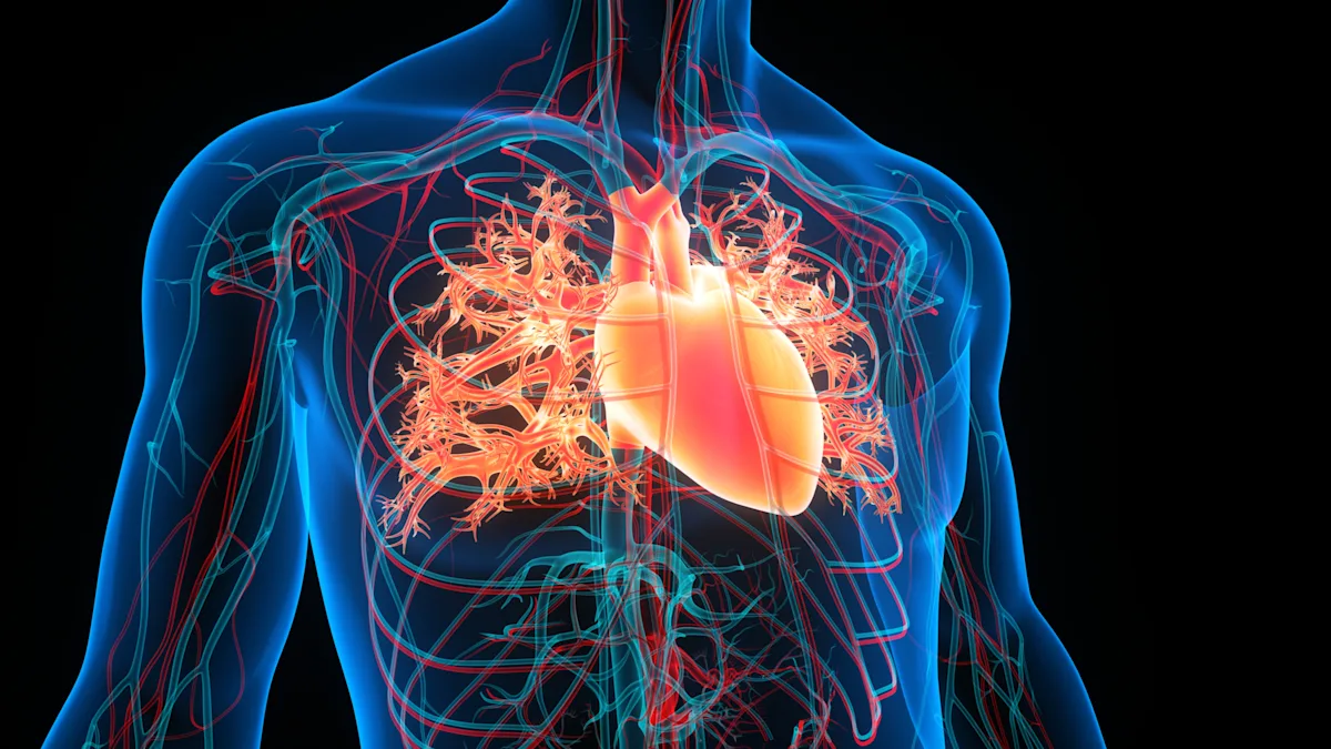 "Alarming Lack of Awareness: Majority of U.S. Adults Uninformed About Heart Disease as Leading Cause of Death"