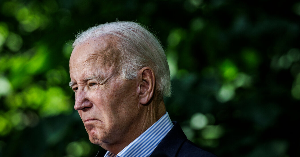 "Biden's Strategy to Re-Energize Democrats and Counter Trump's Influence in 2024"