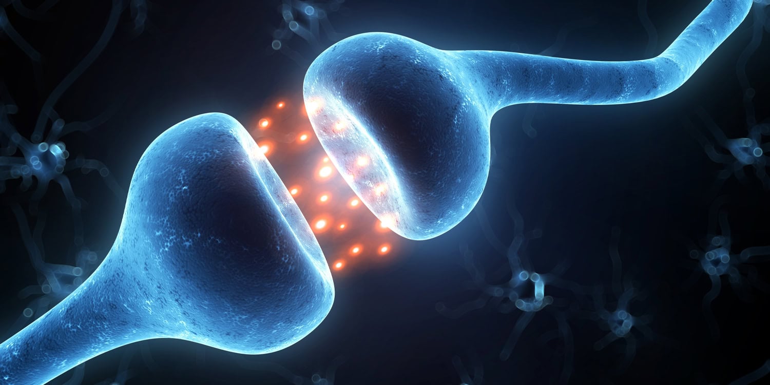 Featured image for Dopamine Drug Improves Self-Control and Cuts Drinking in Alcohol Dependence