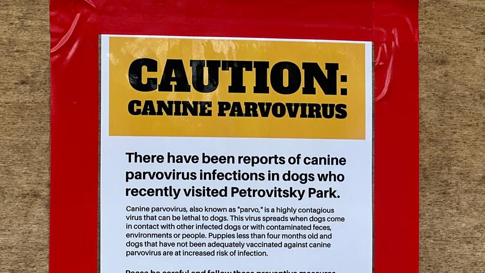 Featured image for Parvovirus Outbreak in Renton Park Endangers Local Dogs
