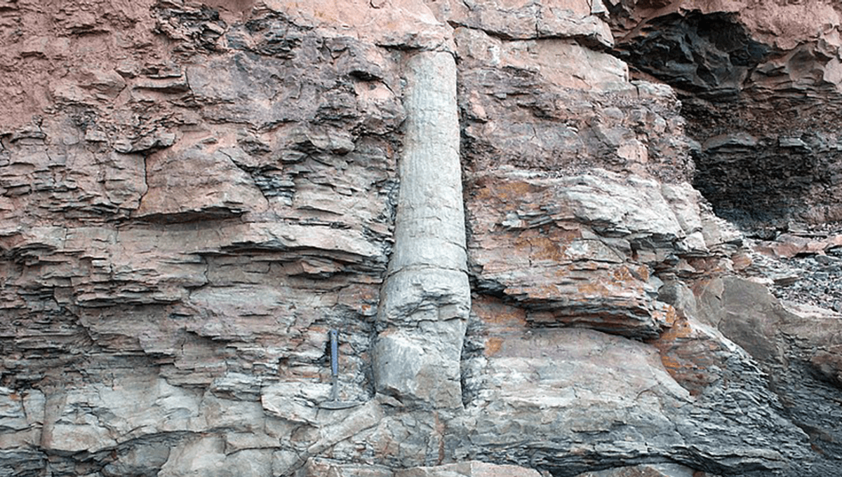 Featured image for Mystery of Baigong Pipes: Ancient Pipes Found in Mount Caves.