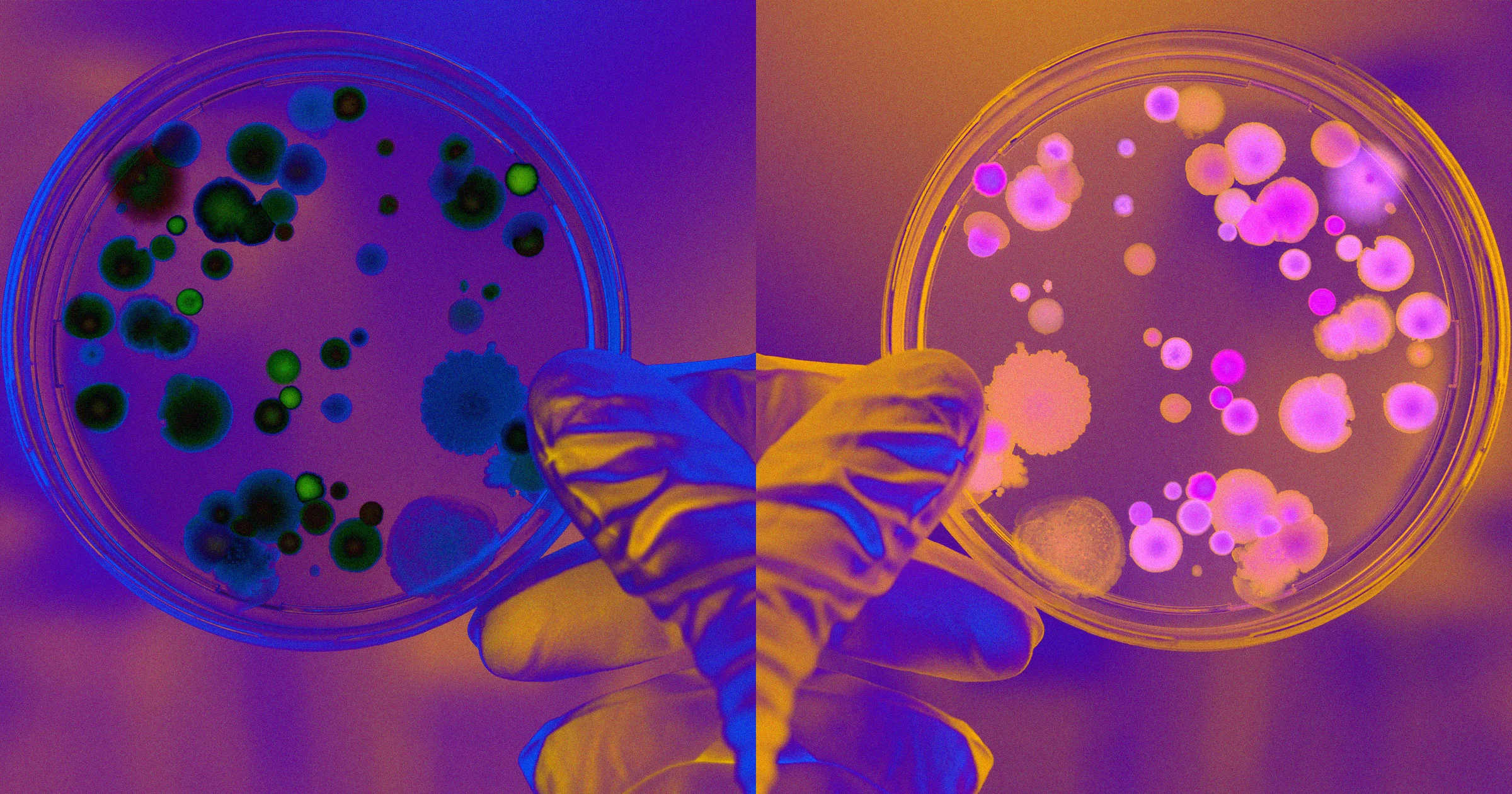 Featured image for Scientists Confront Risks of 'Mirror Life' and Potential Global Catastrophe