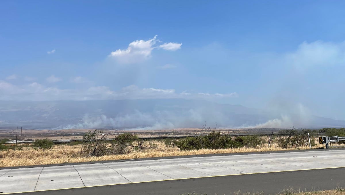 Featured image for Maui Fires Leave Hundreds of Students Unenrolled in School