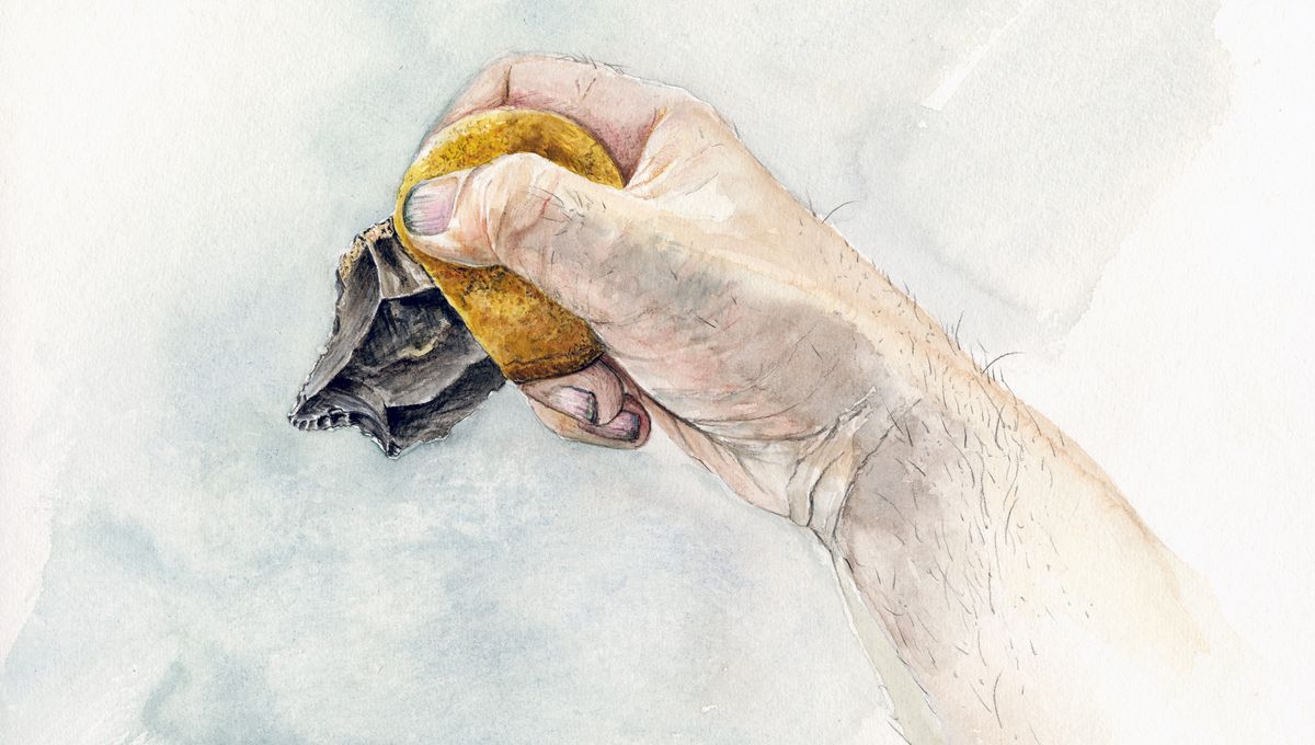 Featured image for "Neanderthals' Advanced Tool-Making Skills Unveiled Through 40,000-Year-Old Multi-Compound Glue"