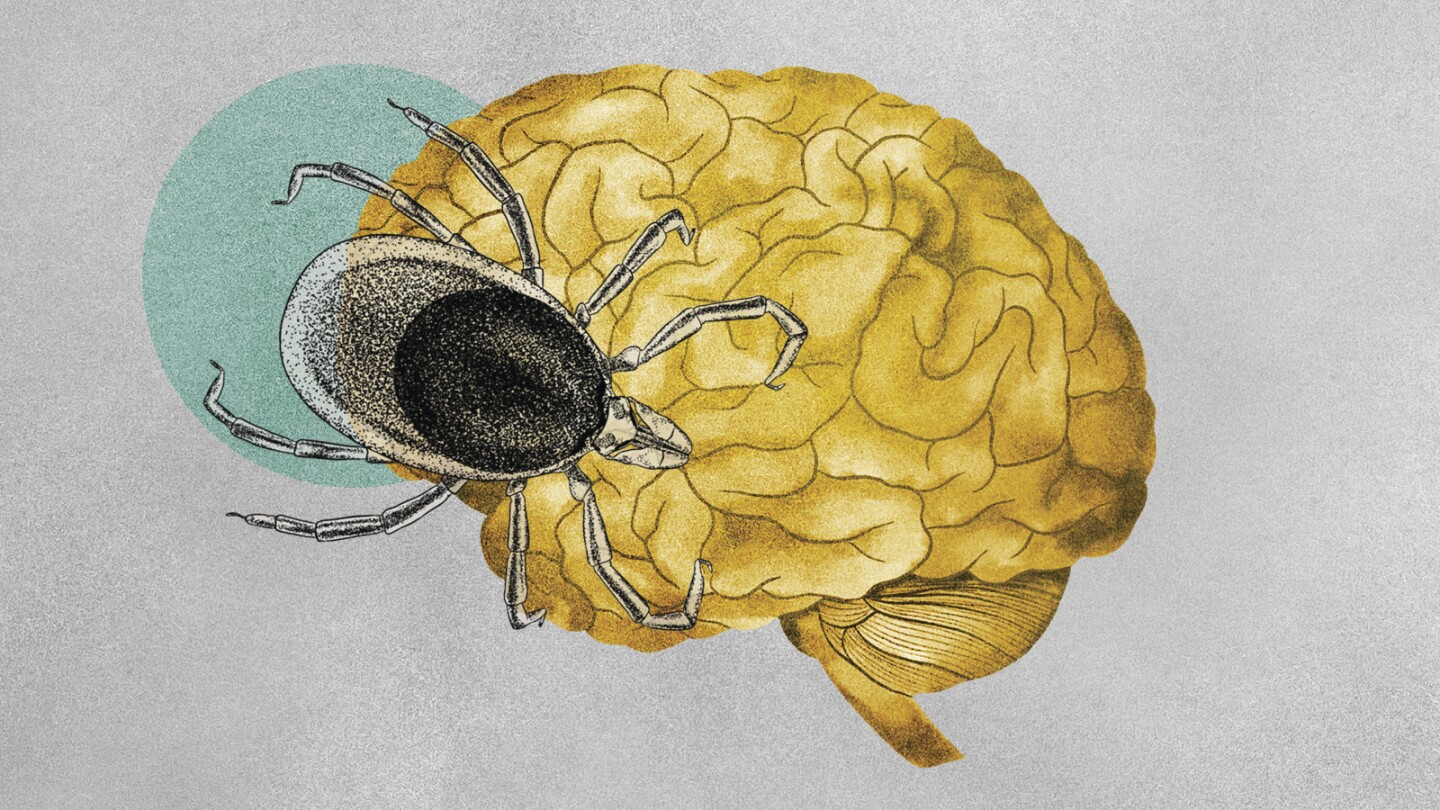 "Climate Change Linked to Surge in Tick-Borne Illnesses"