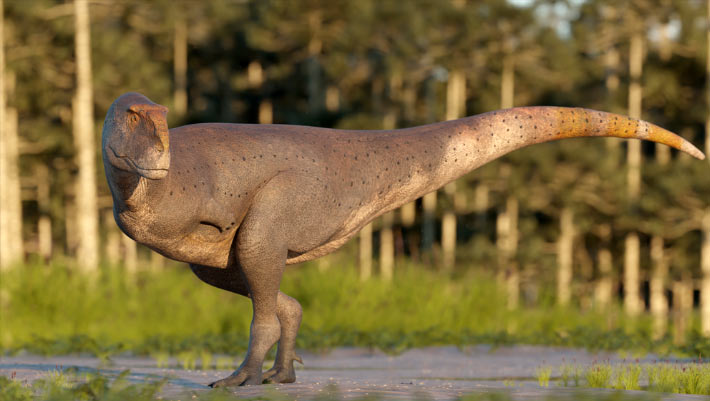 New Carnivorous Dinosaur Species Unearthed in Argentina