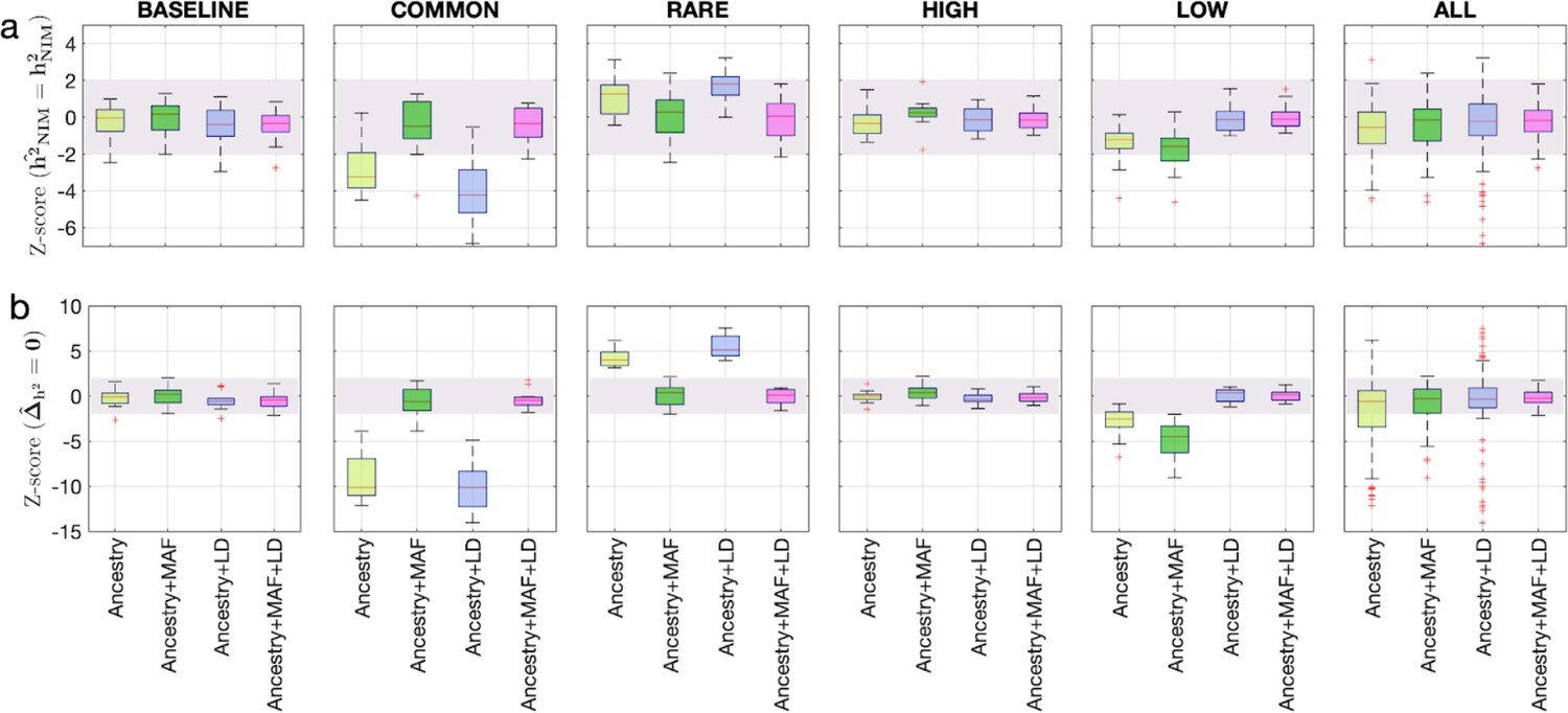 Featured image for Neanderthal DNA Continues to Impact Modern Humans.