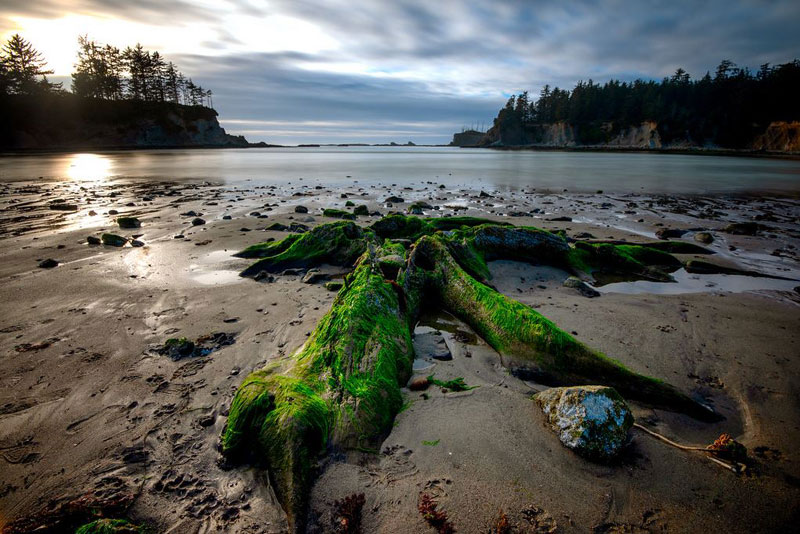 Featured image for Unveiling the Enigmatic Secrets of Oregon Coast's Hidden Beaches