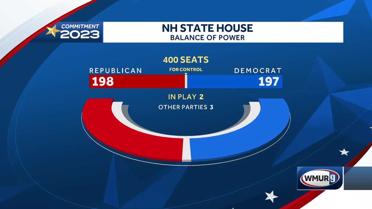 "Party Balance Shifts in Key State House Elections"