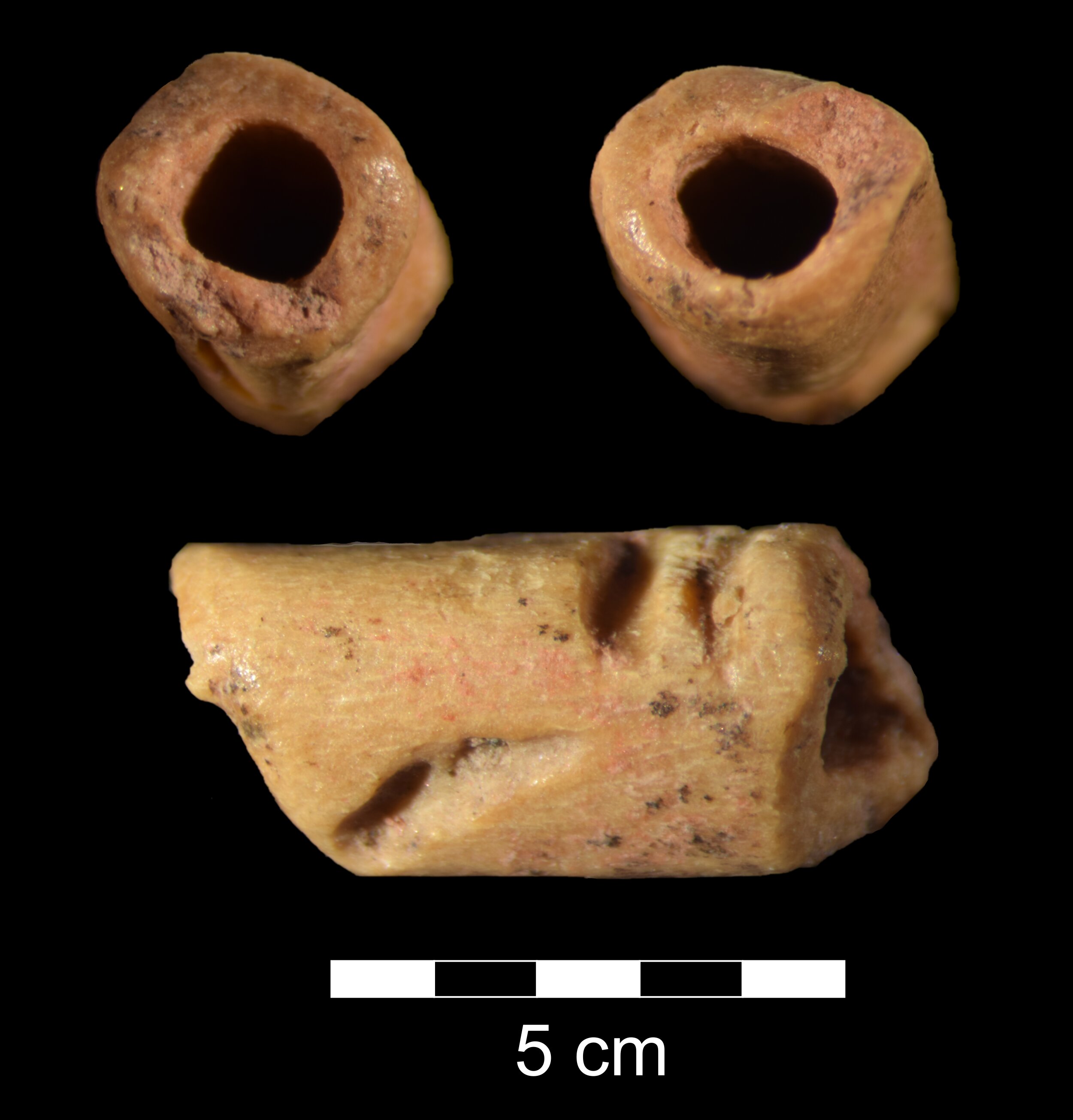 "Unearthing the Oldest Bead in the Americas: A Remarkable Archaeological Find"