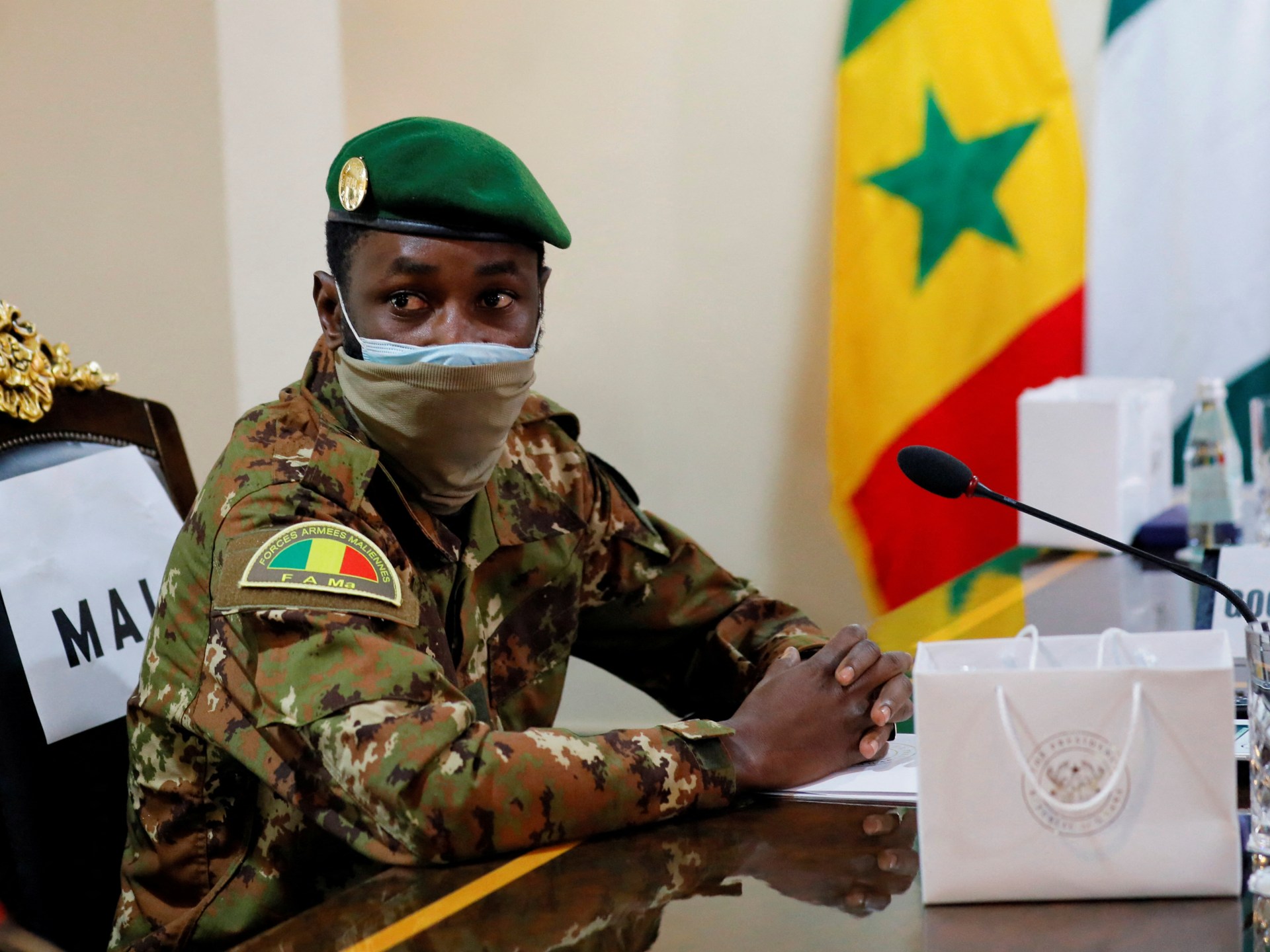 "Putin Emphasizes Peaceful Resolution in Talks with Mali and Russia on Niger"