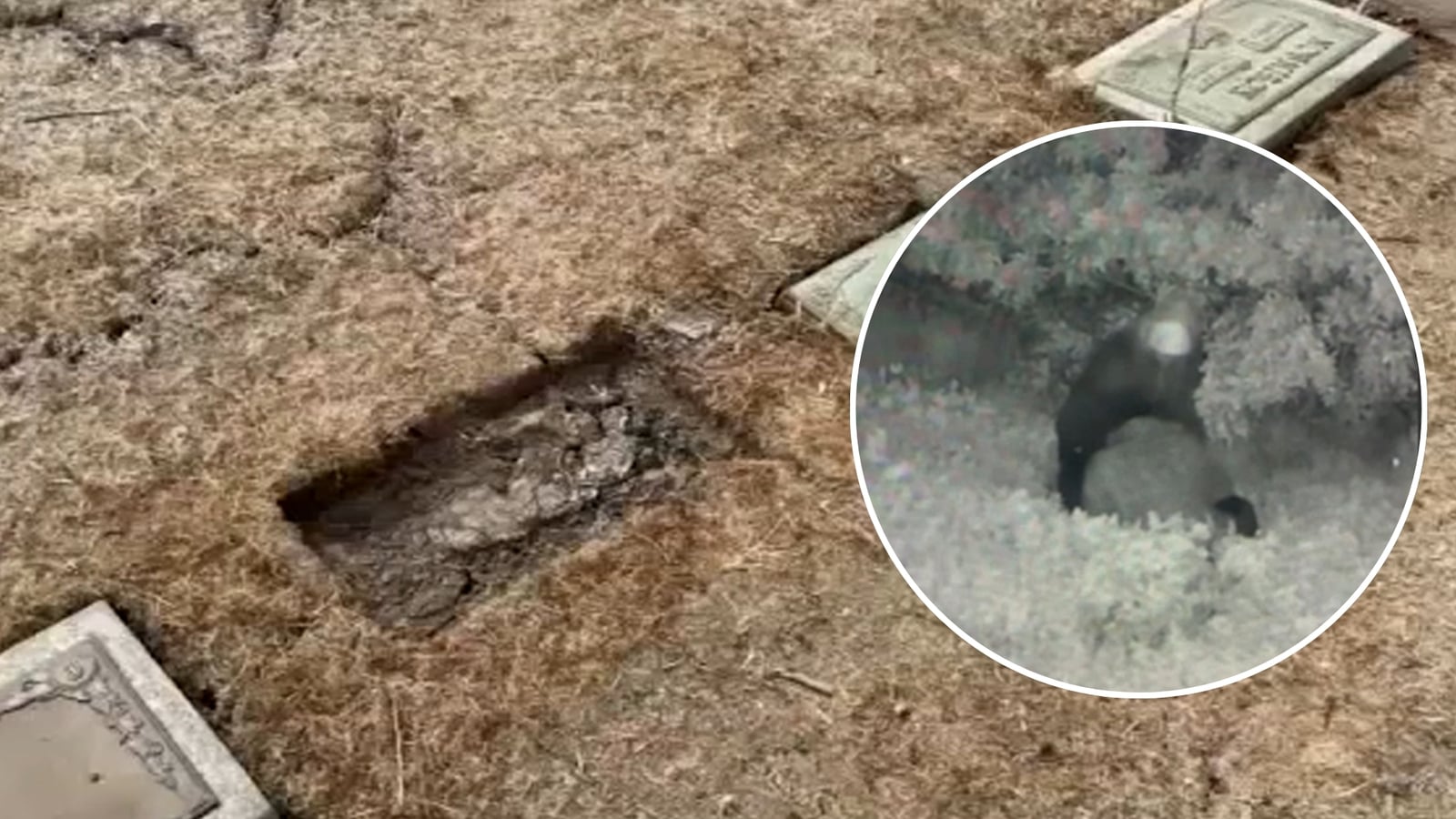 Featured image for Theft and Vandalism Hit Historic Woodlawn Celestial Gardens in Compton