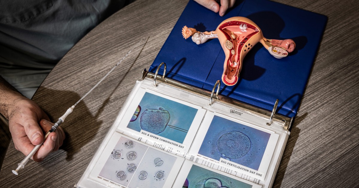 Featured image for "Controversy Surrounds Alabama's IVF Legislation and Its Impact on Reproductive Rights"