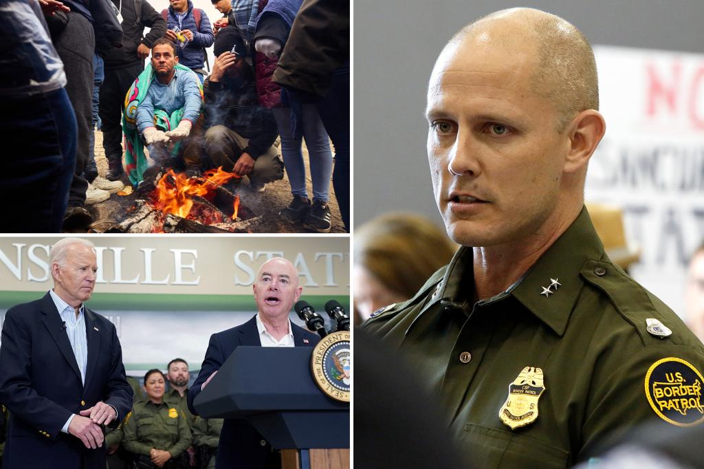 Featured image for "Border Patrol Chief Warns of National Security Threat from Illegal Crossings"